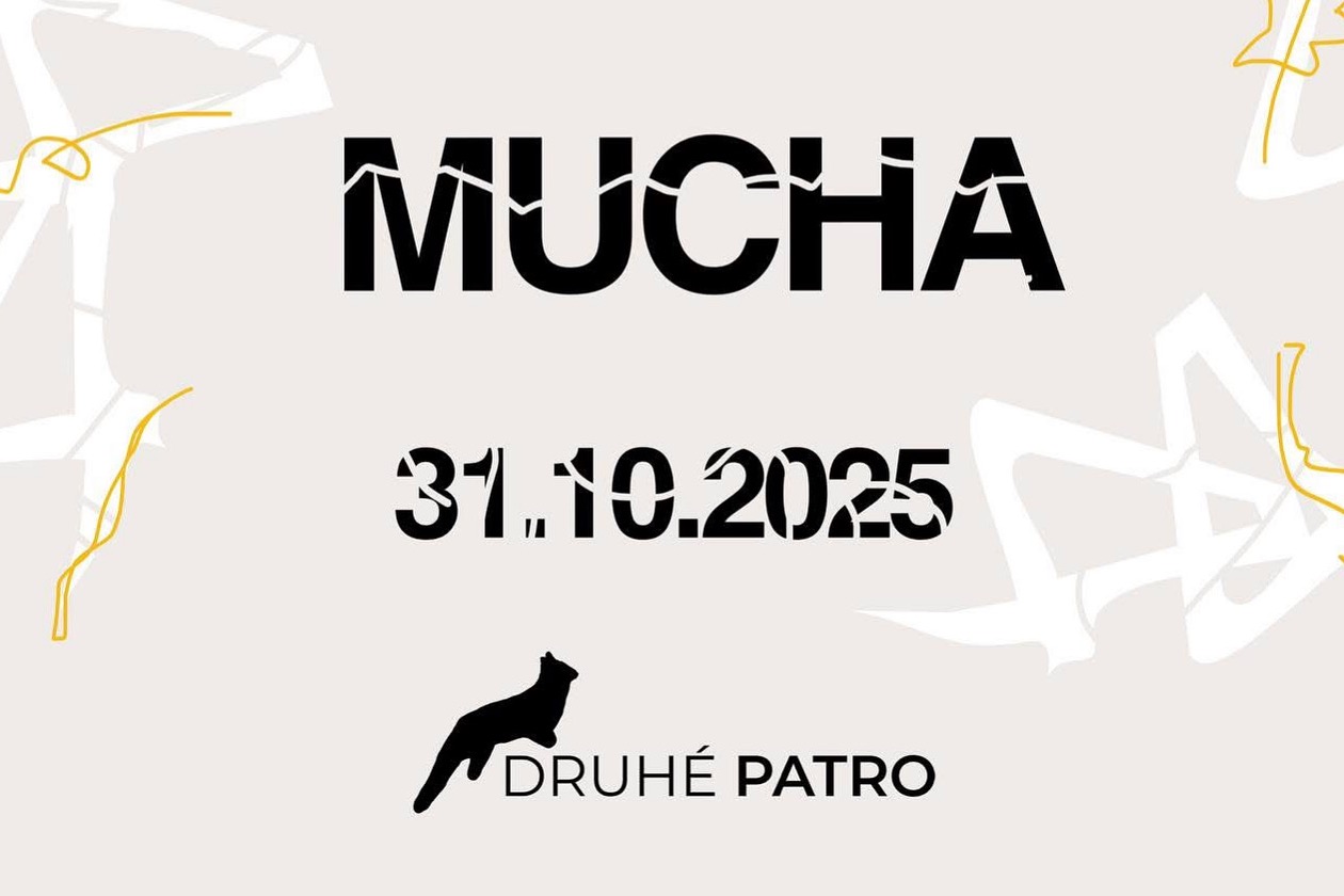 MUCHA ve 2P