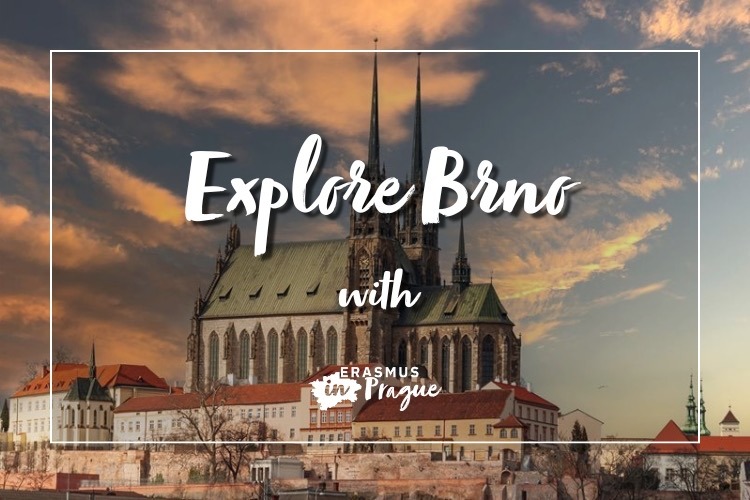 EiP Day Trip to Brno