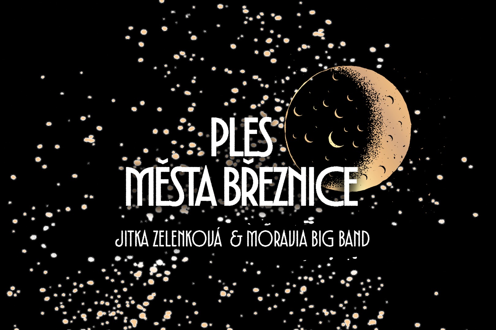 Ples města Březnice