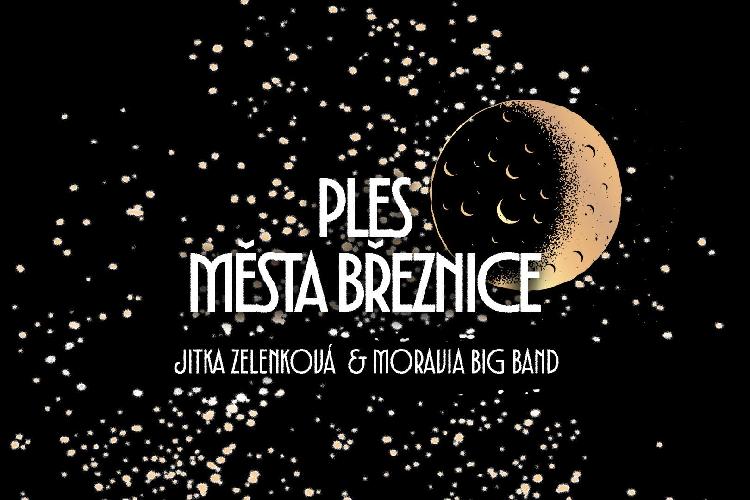 Ples města Březnice