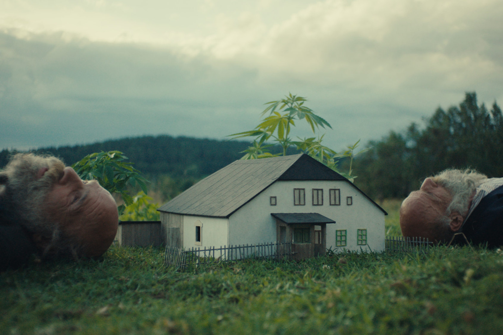 Raději zešílet v divočině