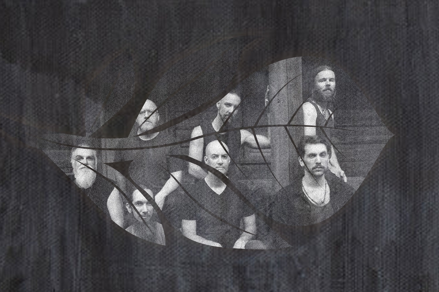 Kayo Dot + Uulliata Digir
