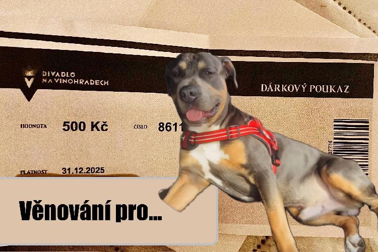 2x 500 Kč : Vstupenky do divadla na Vinohradech 